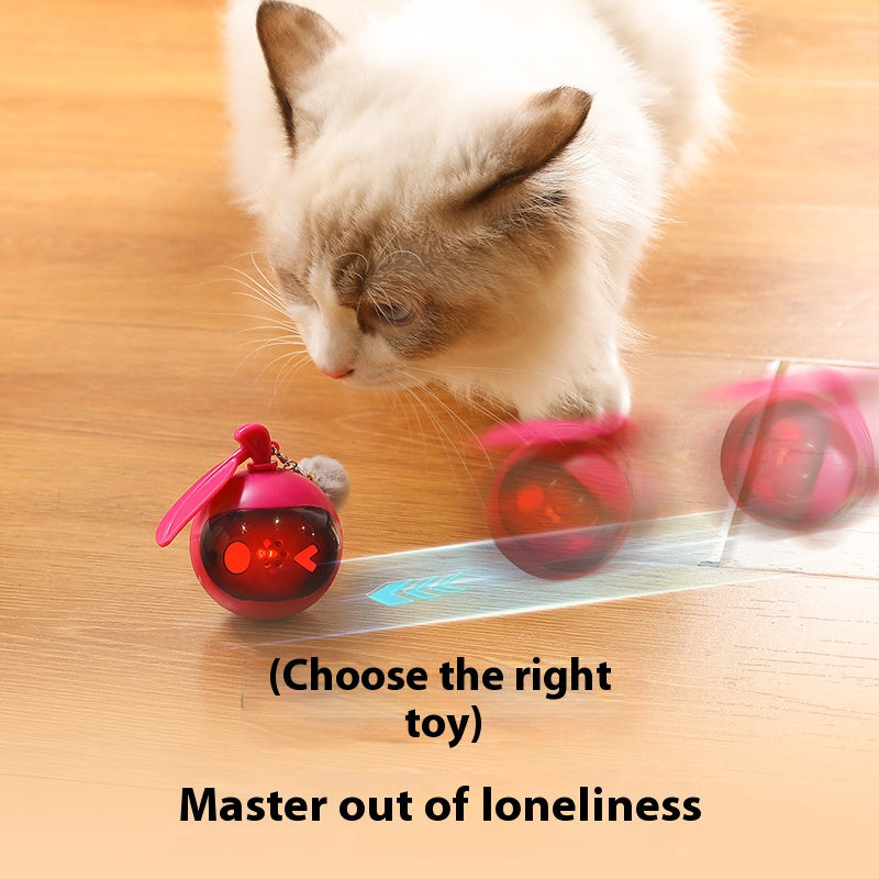 Cat Teaser Ball