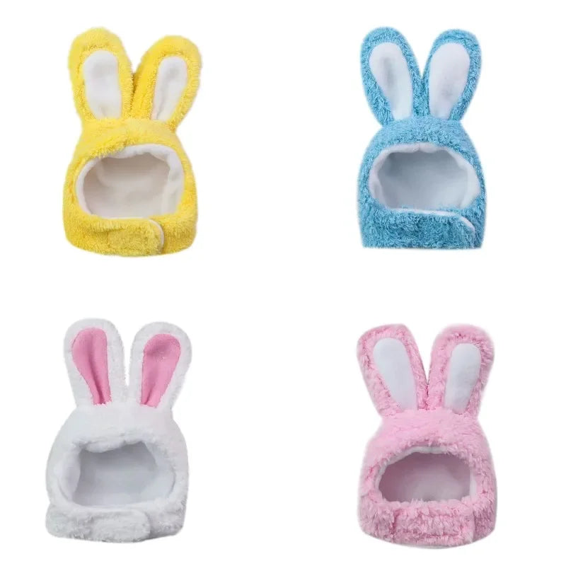 Kitty bunny ears