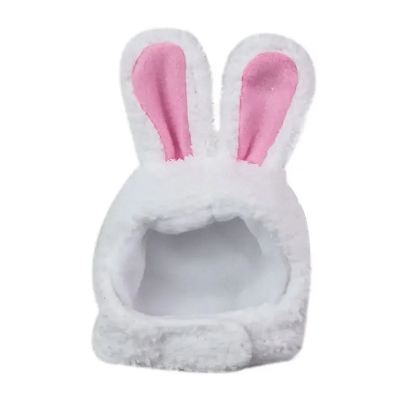Kitty bunny ears