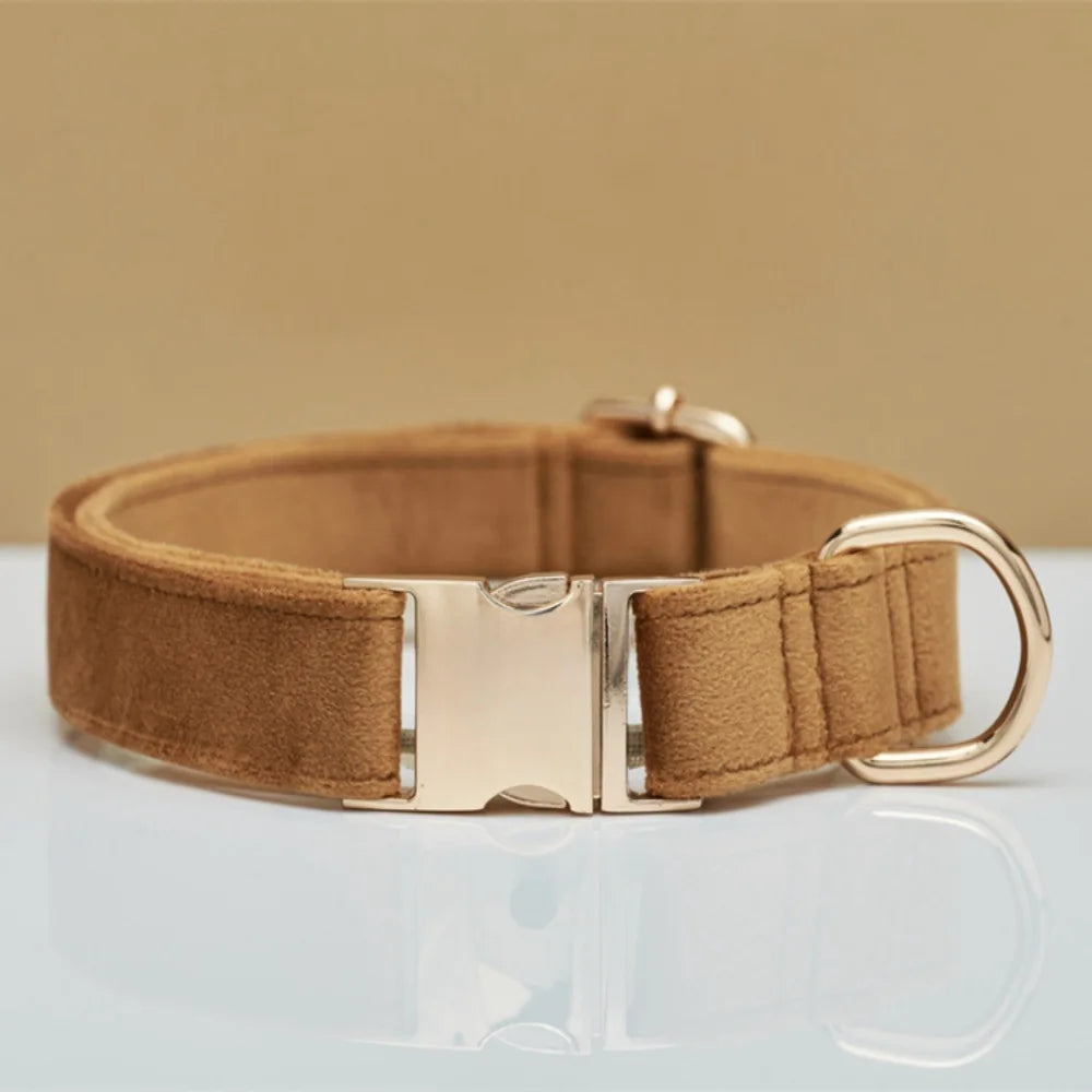Personalized Velvet Dog Collar
