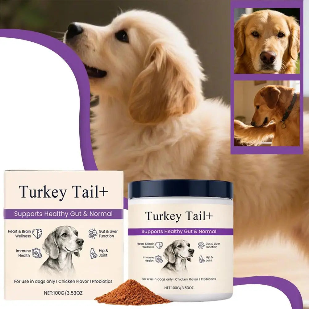 100g Dog Probiotic Intestinal Powder Supplement