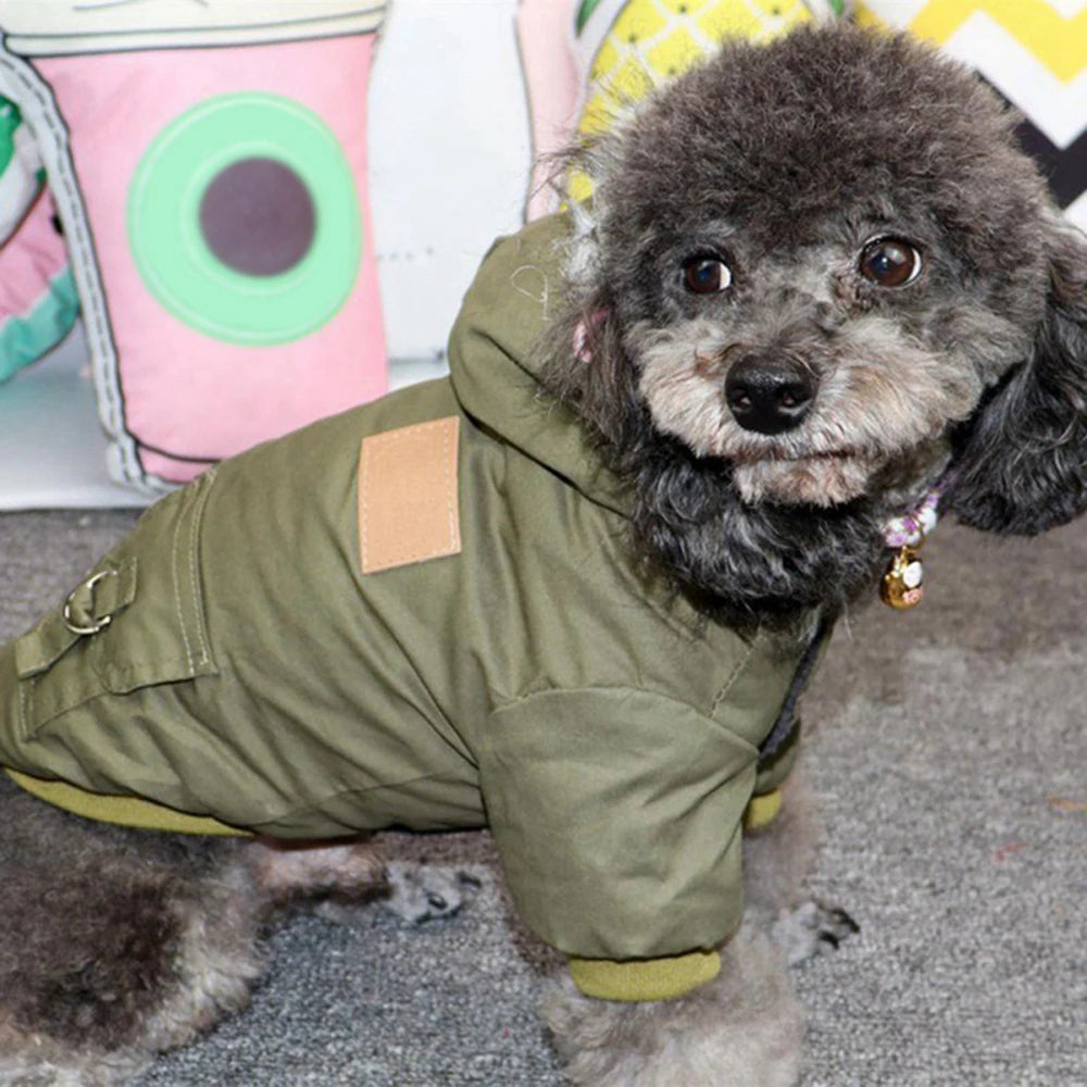Winter Coat