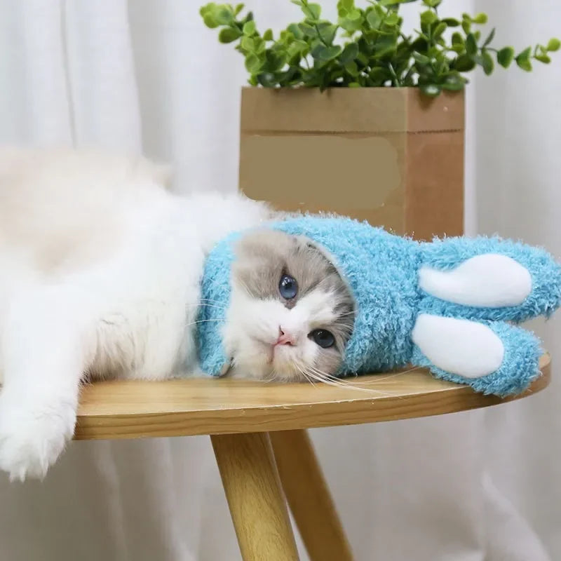 Kitty bunny ears