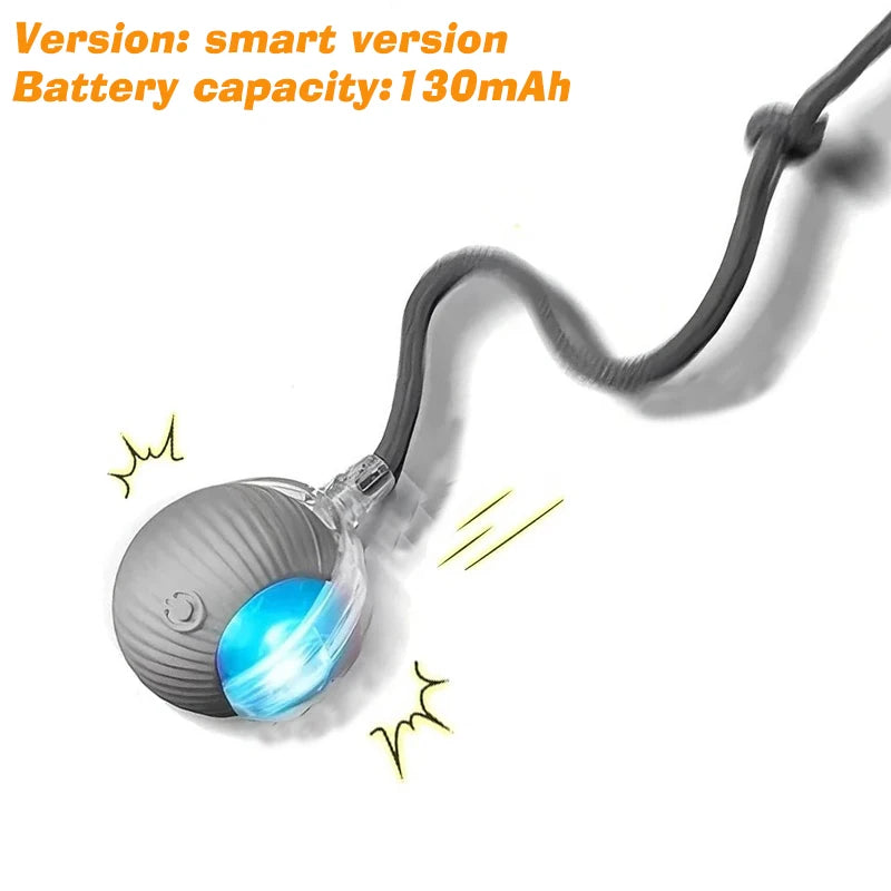 New Interactive Ball Toy with Tail