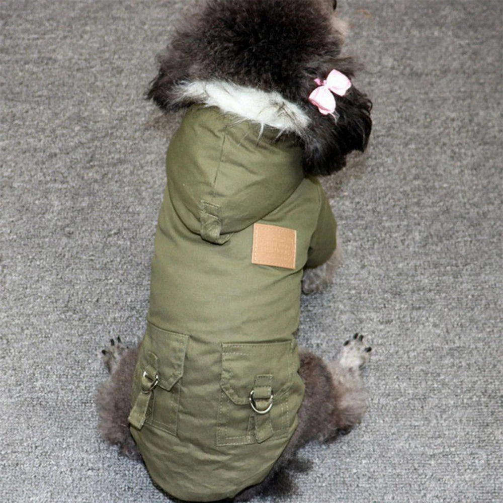 Winter Coat