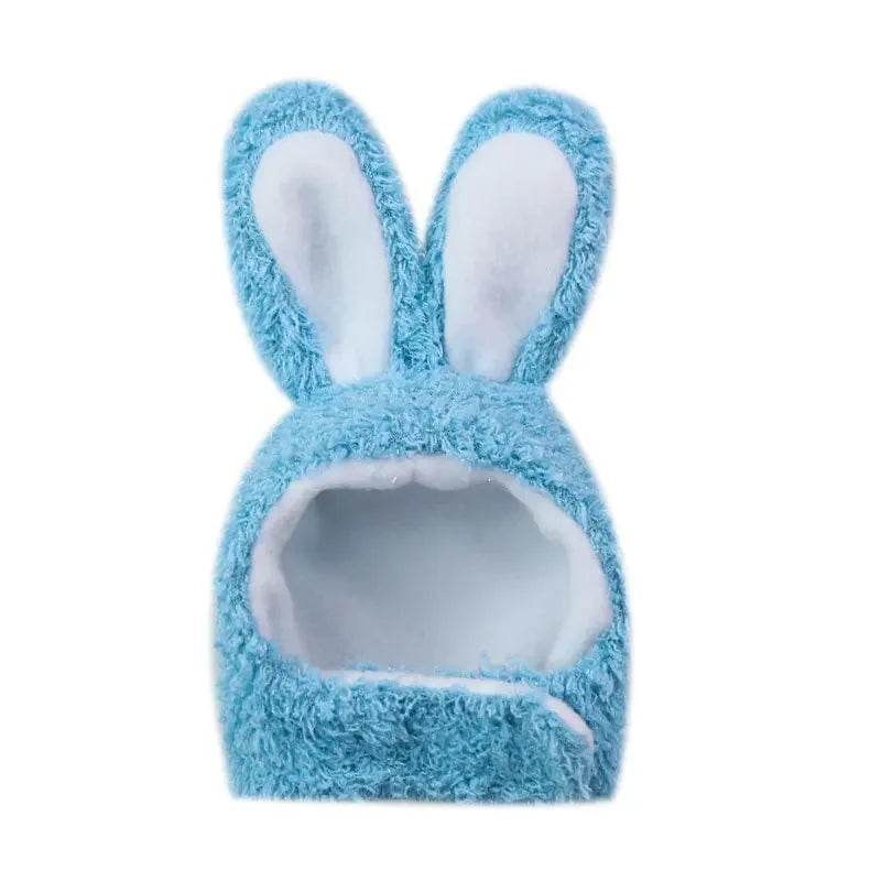 Kitty bunny ears