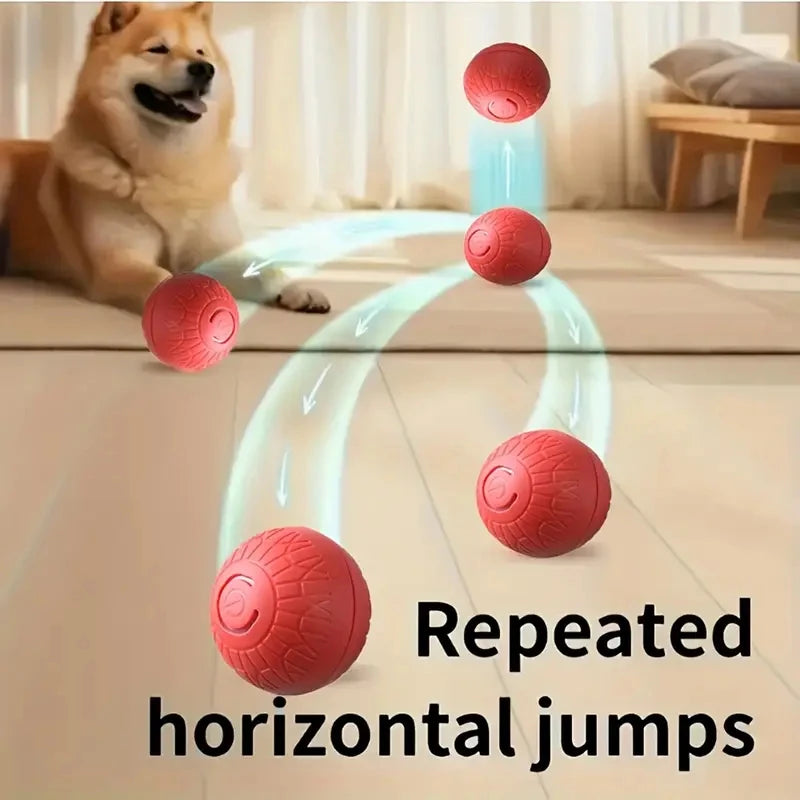 Smart Dog Toy