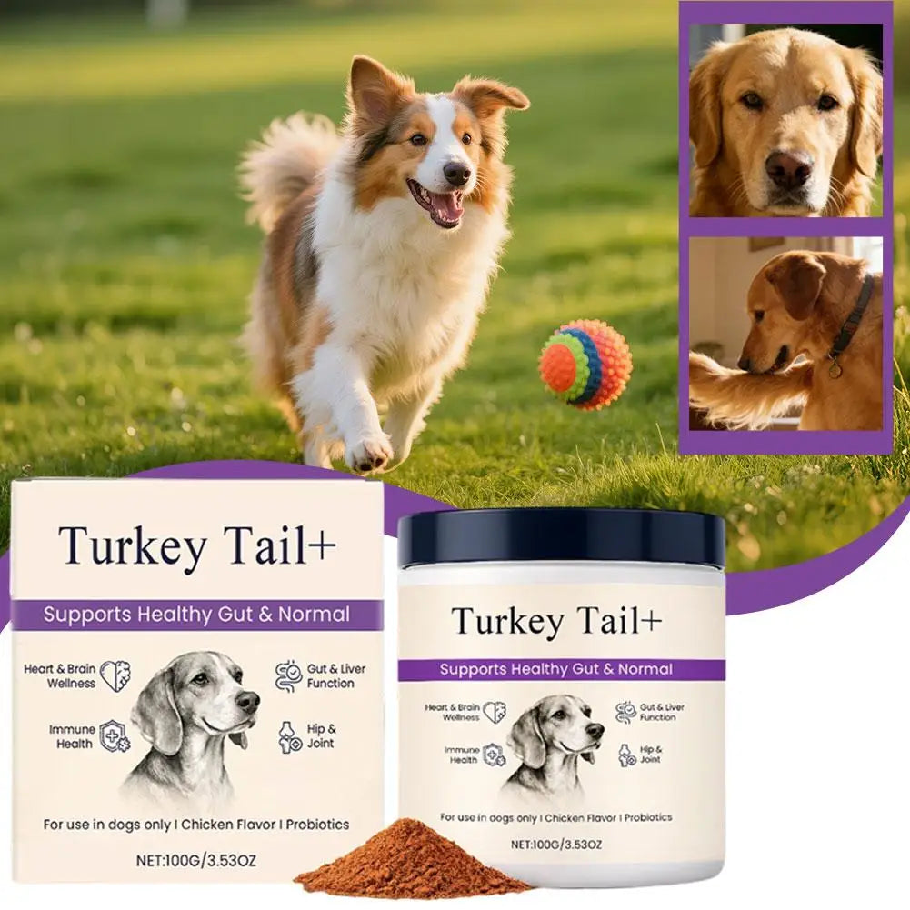 100g Dog Probiotic Intestinal Powder Supplement