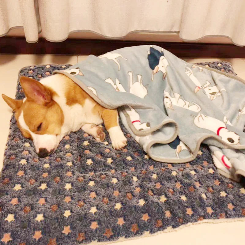 Pet Sleeping Pad
