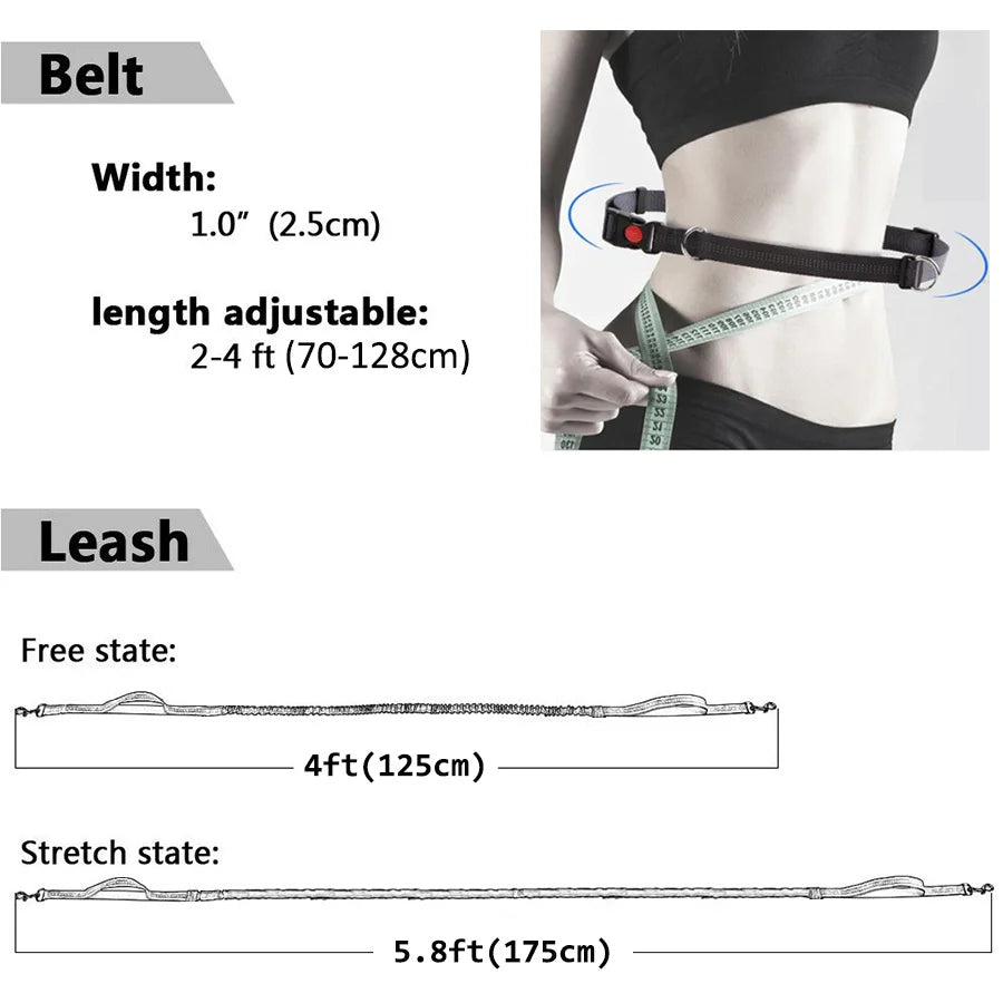 Handsfree Dog Leash