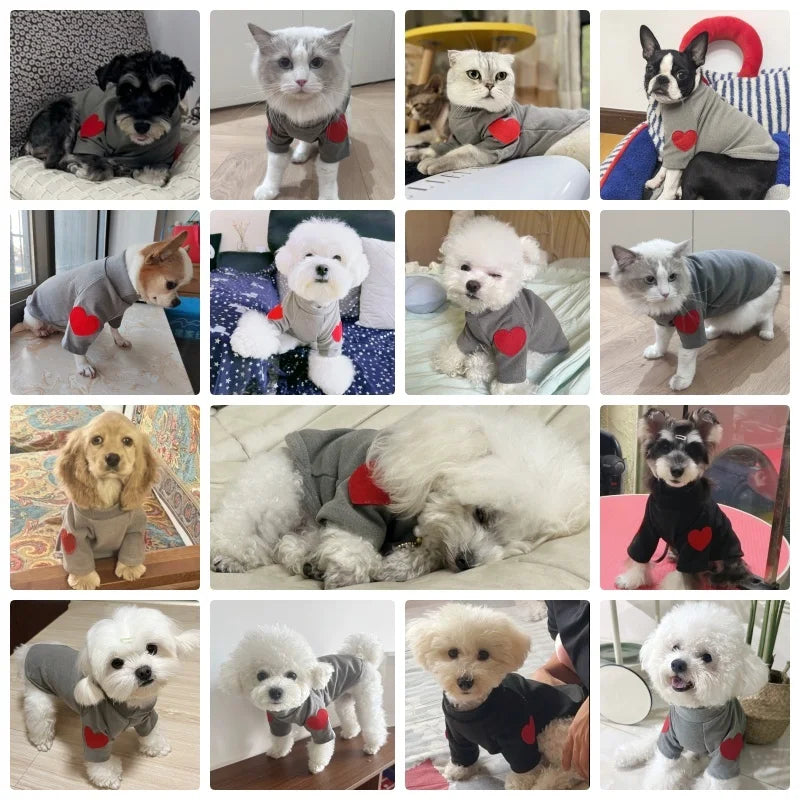 Heart Hoodie for small breeds