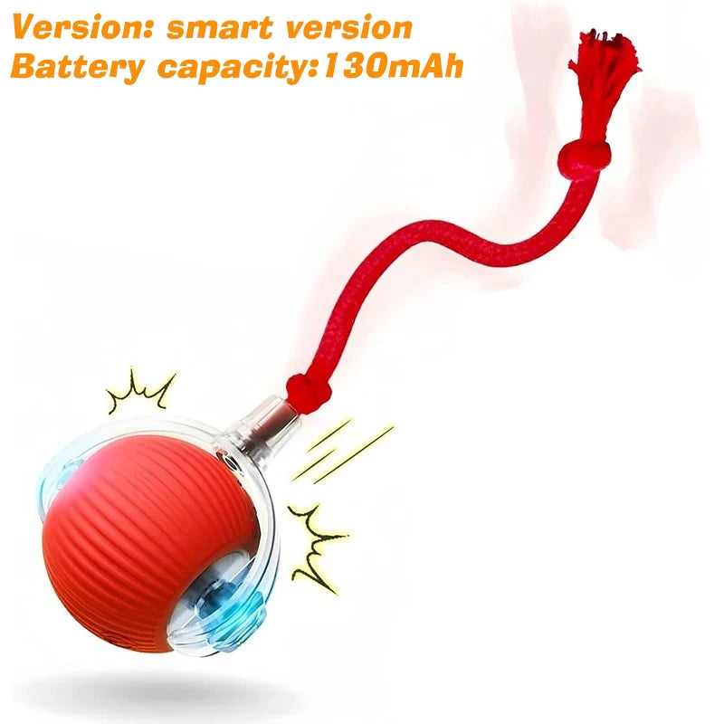 New Interactive Ball Toy with Tail