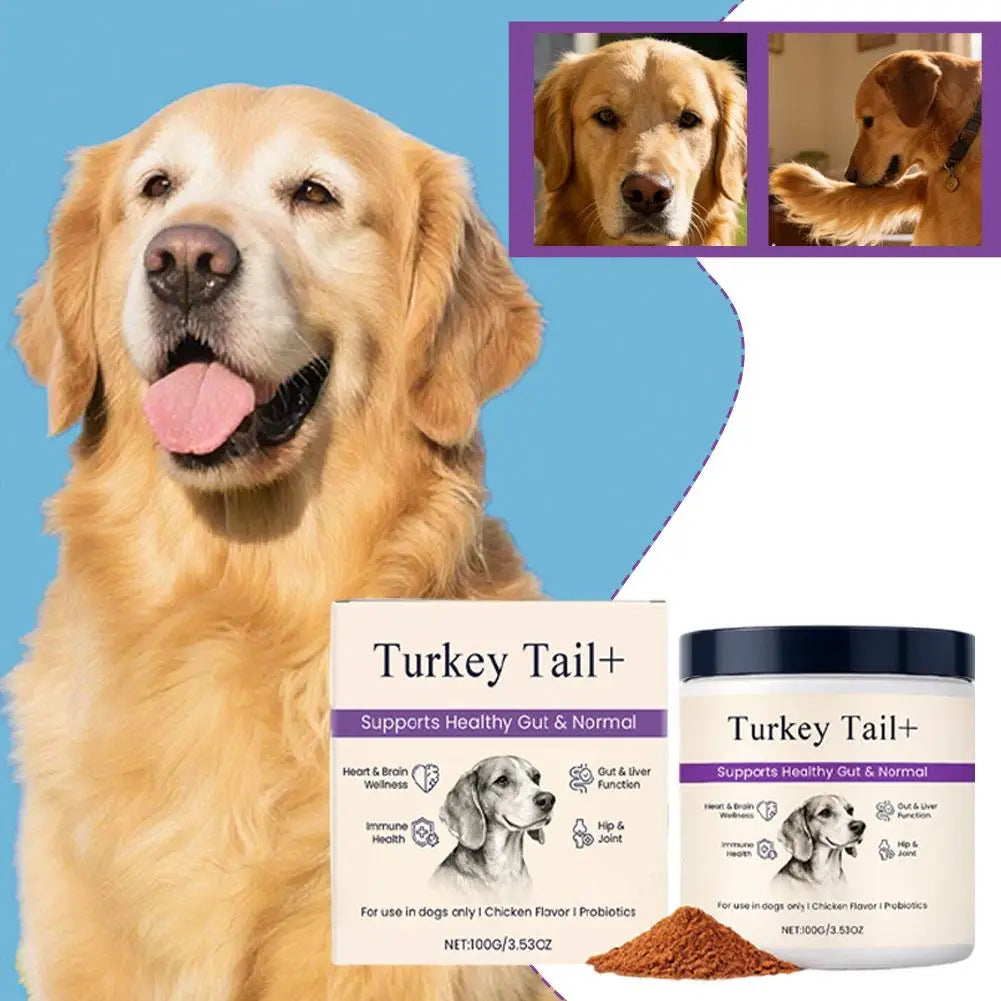 100g Dog Probiotic Intestinal Powder Supplement