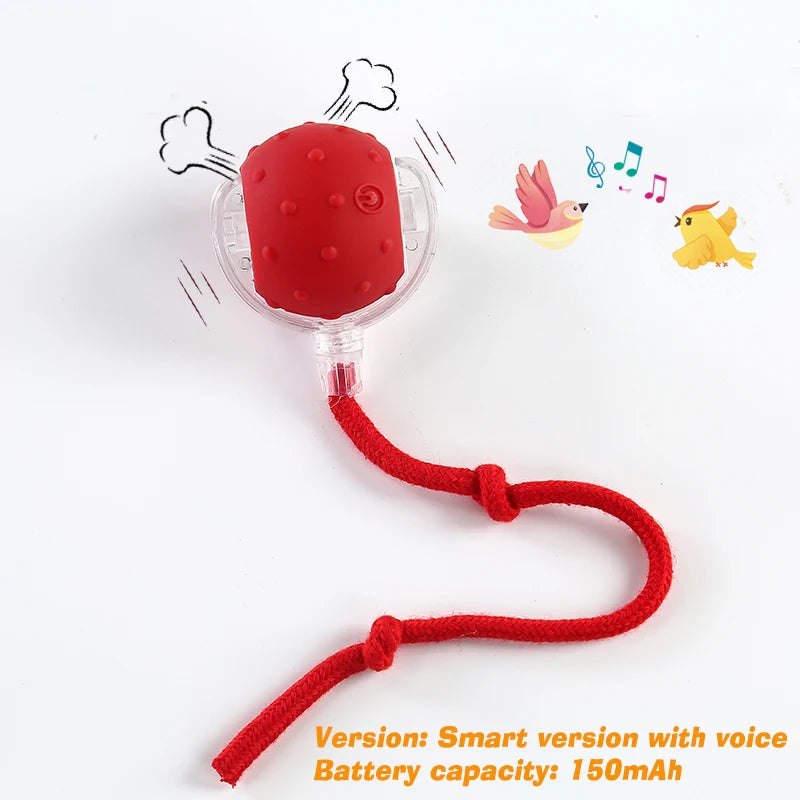 New Interactive Ball Toy with Tail