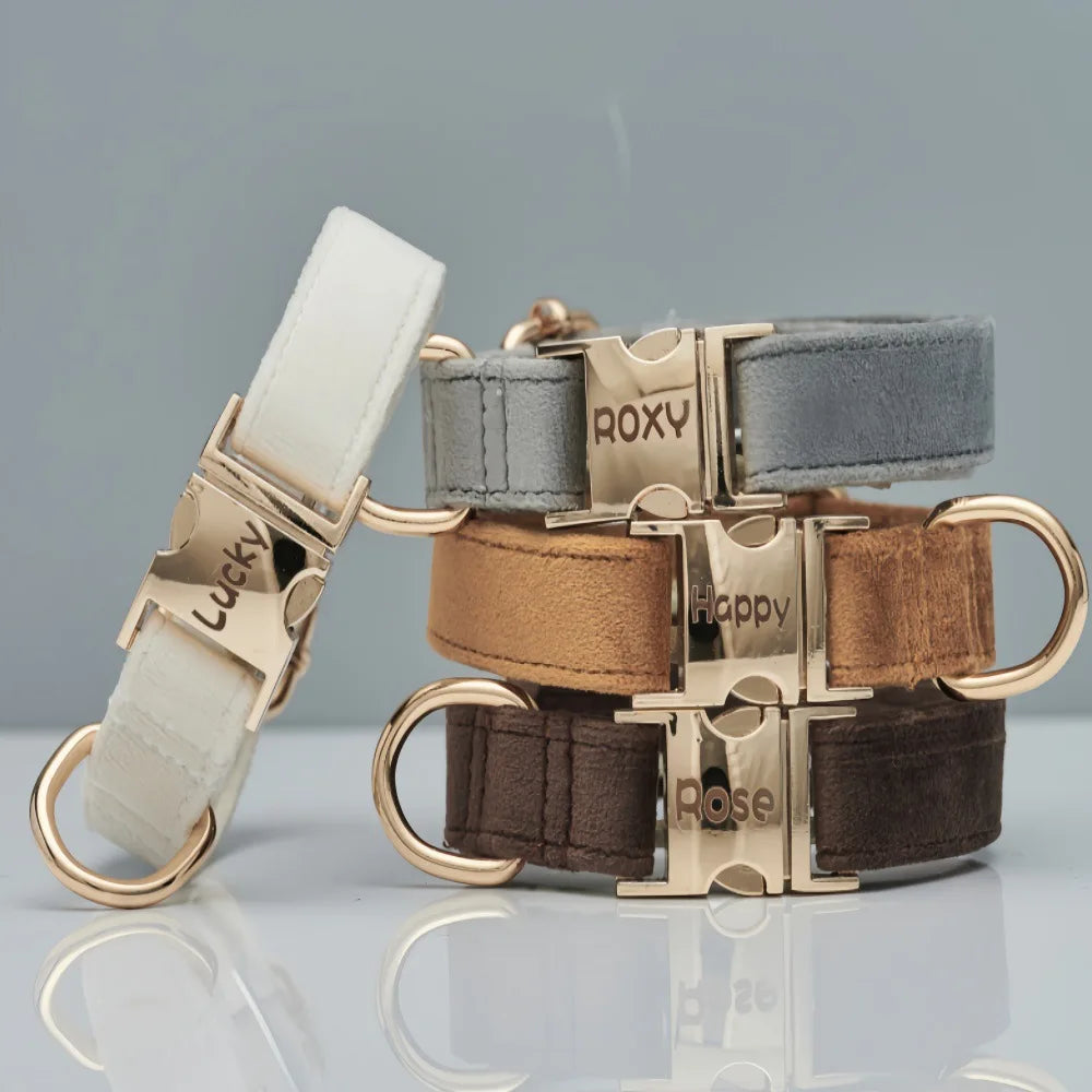 Personalized Velvet Dog Collar
