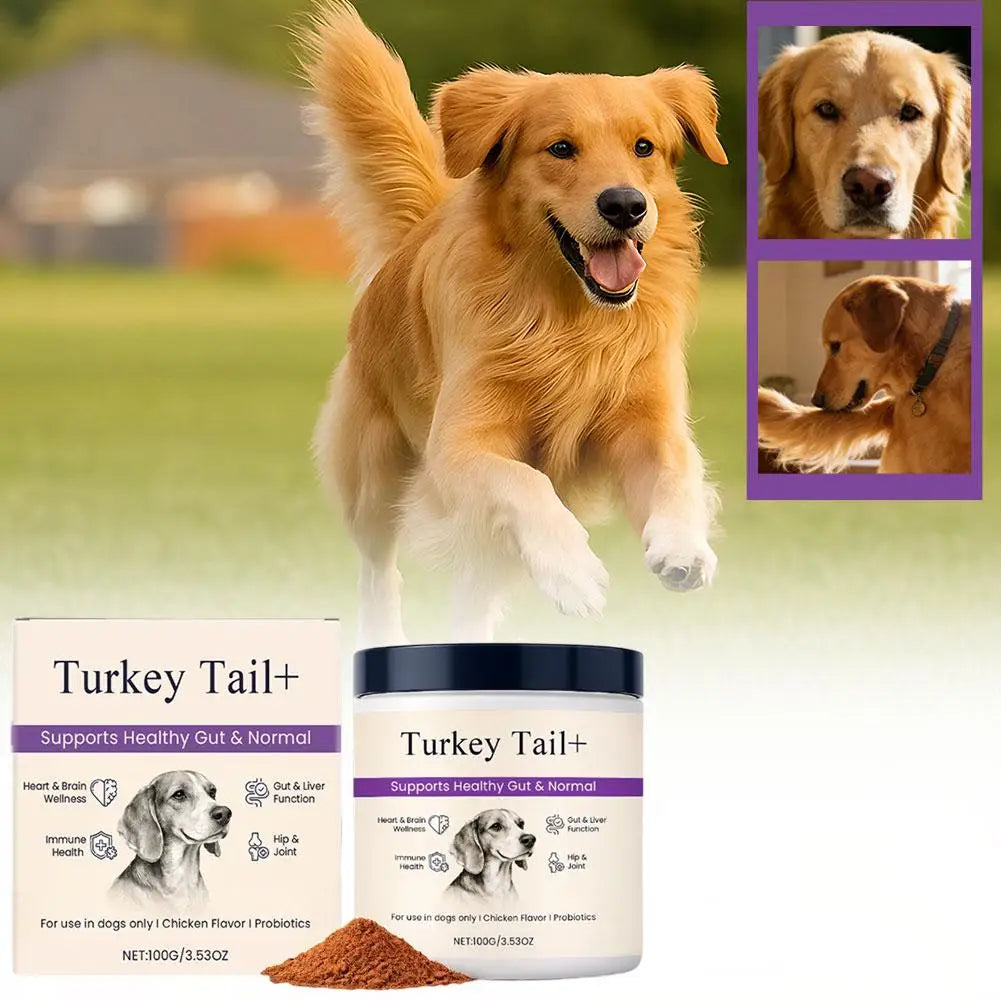 100g Dog Probiotic Intestinal Powder Supplement