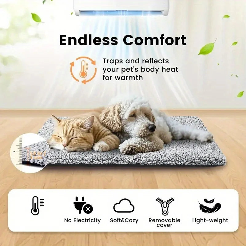 Winter Warming Pad