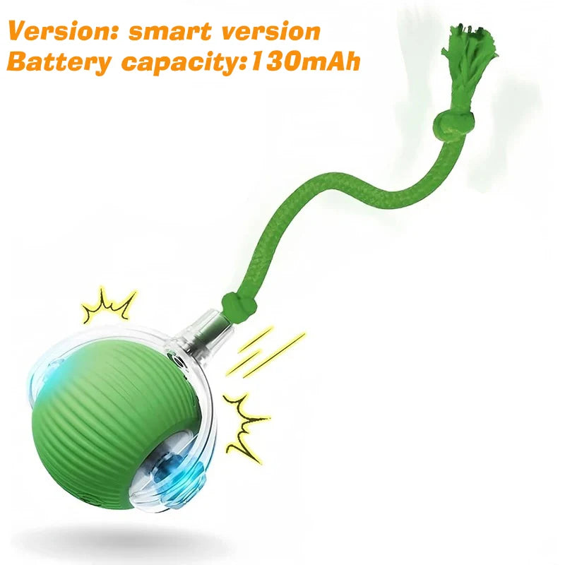New Interactive Ball Toy with Tail