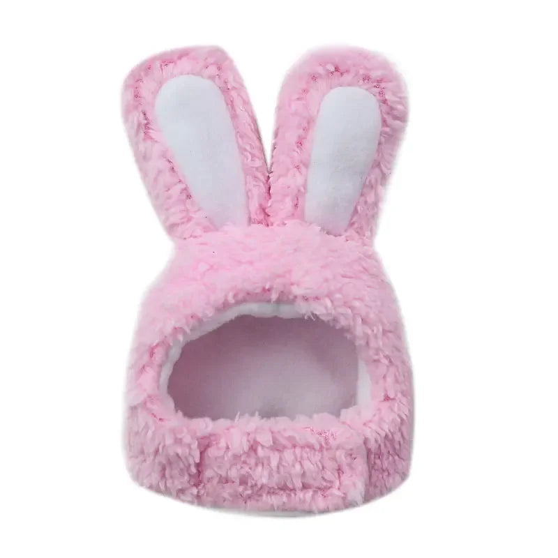 Kitty bunny ears