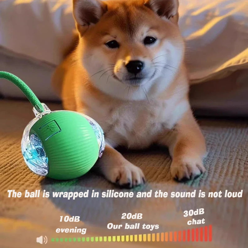 New Interactive Ball Toy with Tail