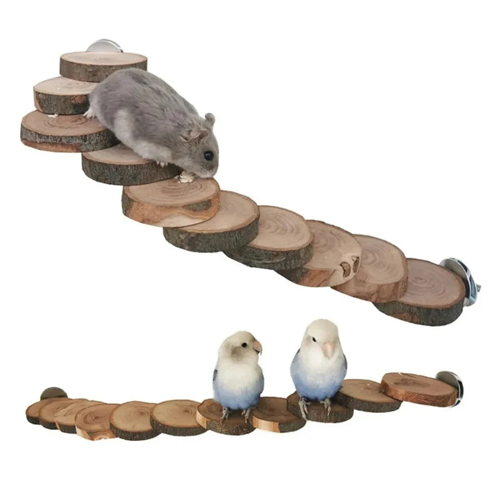 Hamster Roller Toys