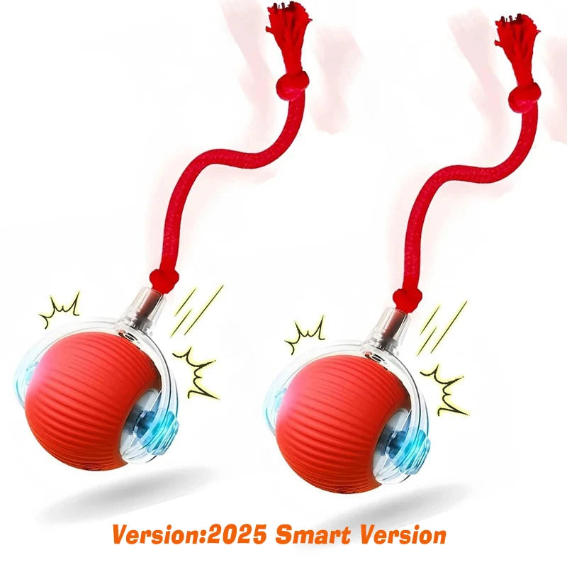 New Interactive Ball Toy with Tail
