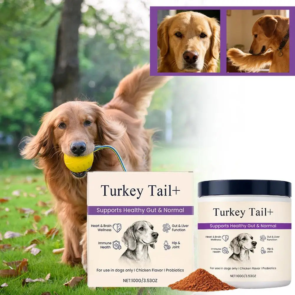 100g Dog Probiotic Intestinal Powder Supplement
