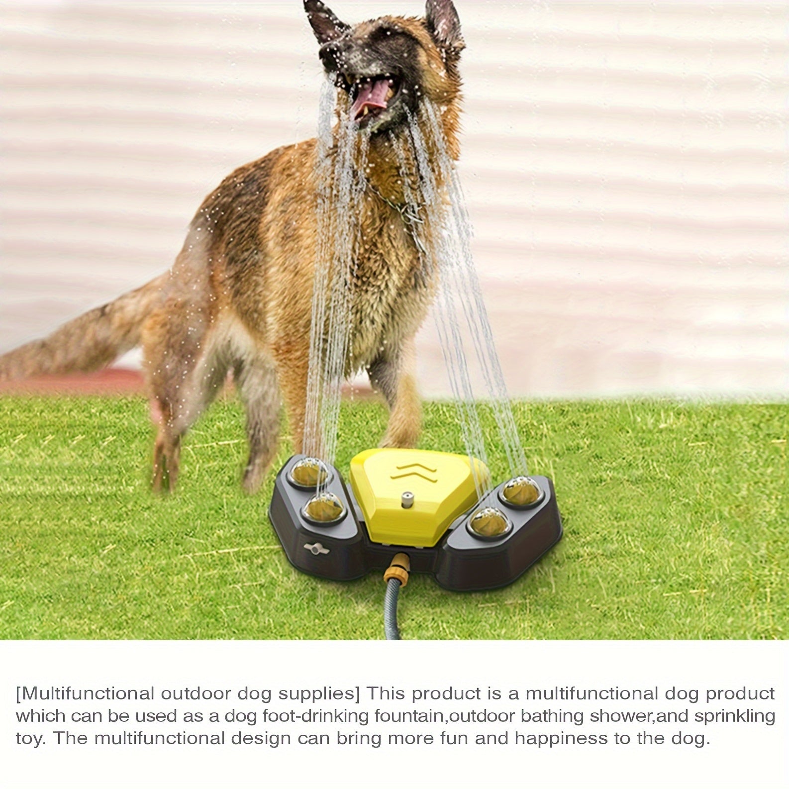 Summer Dog Sprinkler