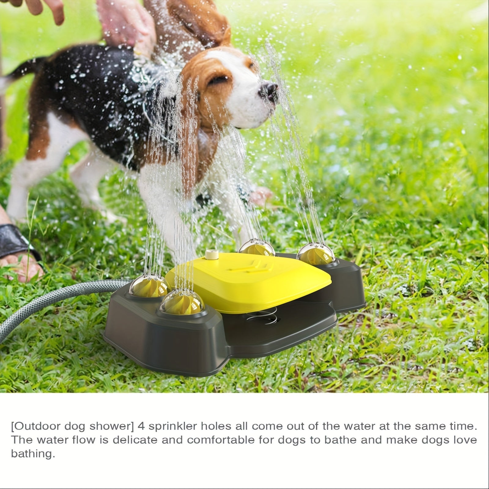 Summer Dog Sprinkler